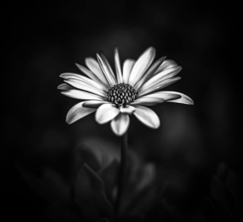 Strålman Kosmetisk Plastikkirurgi